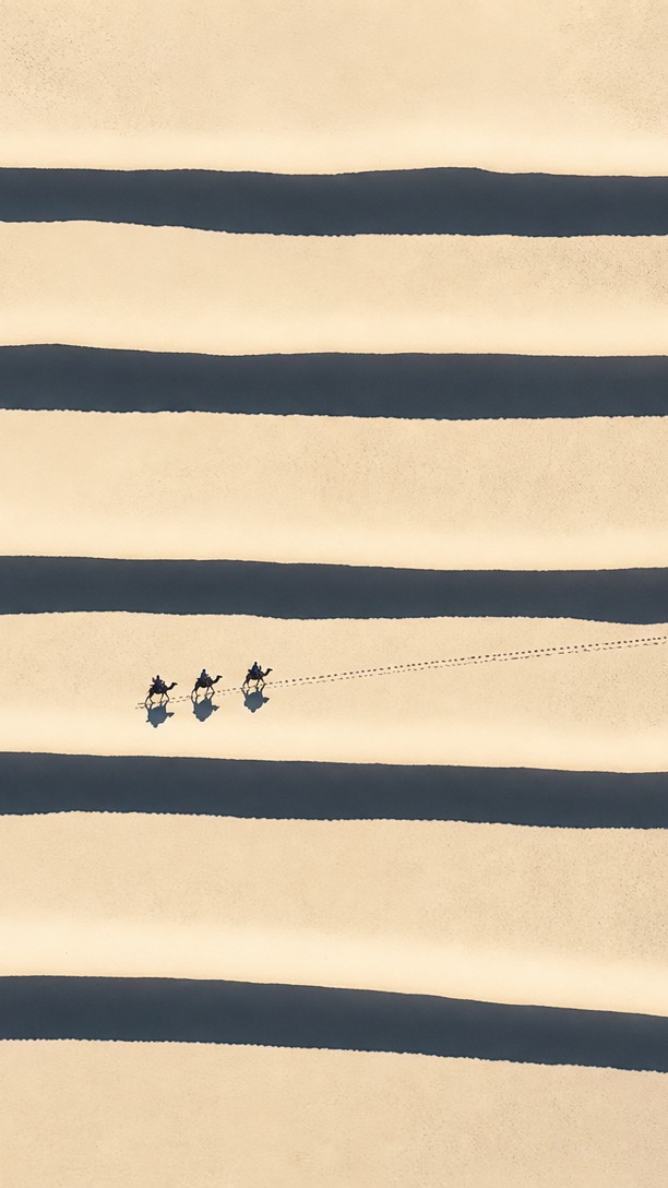 the naive crop